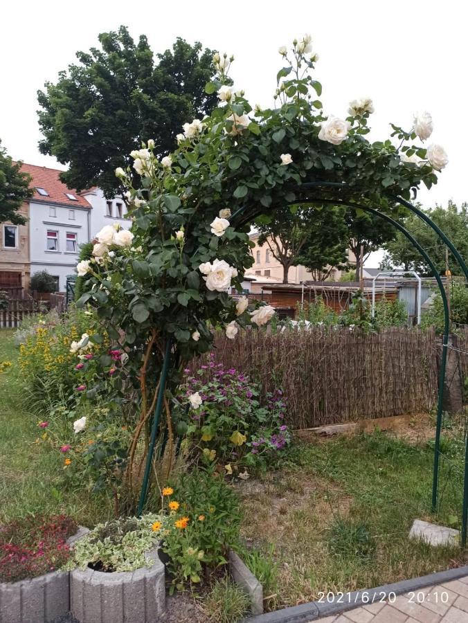 Dreilaendertreff Apartment Zittau Luaran gambar