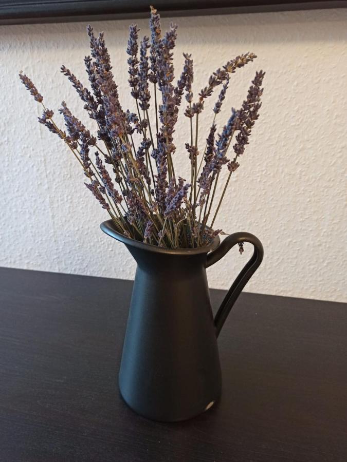 Dreilaendertreff Apartment Zittau Luaran gambar